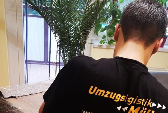 Laborumzug Naunhof stressfrei umziehen 